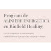 Program de Aliniere Energetica cu Biofield Healing Anual